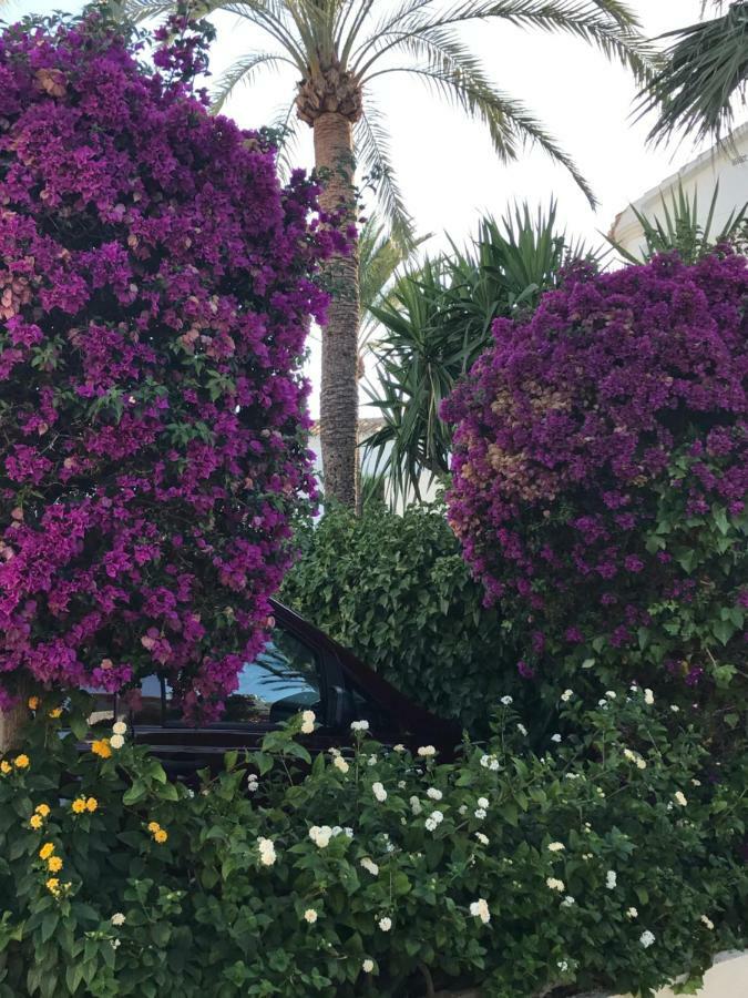 Oasis Paradise دينايا المظهر الخارجي الصورة